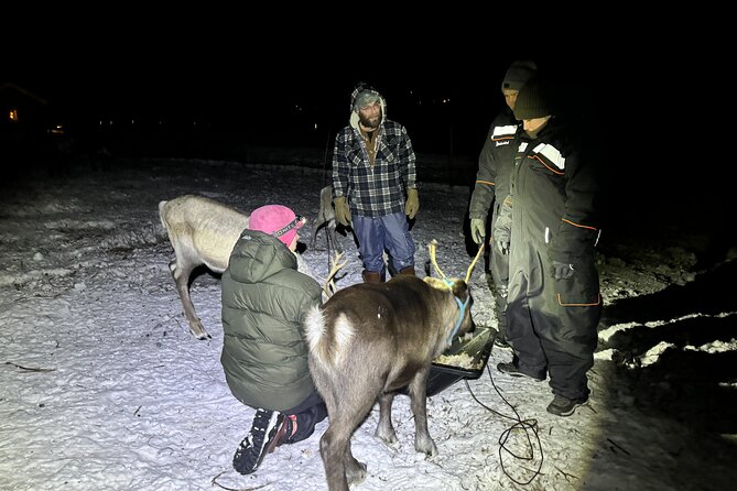 Arctic Adventure with Reindeer and Northern Lights Hunt 18:30 pm - Sámi culture beyond a photo opportunity