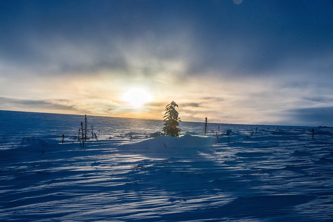 Arctic Circle Aurora Drive Adventure - Crossing the Yukon River
