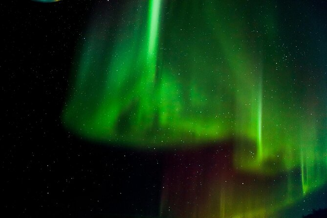 Arctic Darkness & Starlight Adventure with Snowshoes - Key Points Before You Book