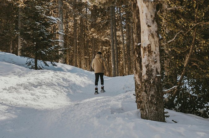 Arctic Darkness & Starlight Adventure with Snowshoes - Waiting for the Northern Lights