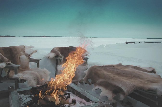 Arctic Darkness & Starlight Adventure with Snowshoes - What the $107.63 Price Buys You