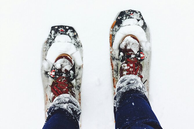 Arctic Darkness & Starlight Adventure with Snowshoes - The Quiet Appeal of a Private Group