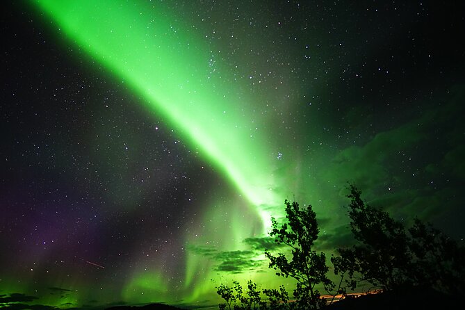 Arctic Day: Aurora Viewing Tour | late night - Is $125.39 a fair price?