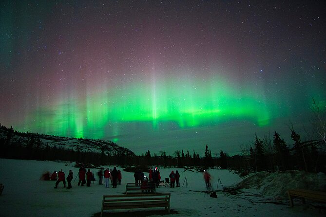 Arctic Day: Aurora Viewing Tour | late night - Who should book this late-night tour?