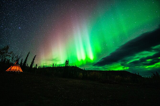 Arctic Day: Aurora Viewing Tour | late night - What guides add to the night
