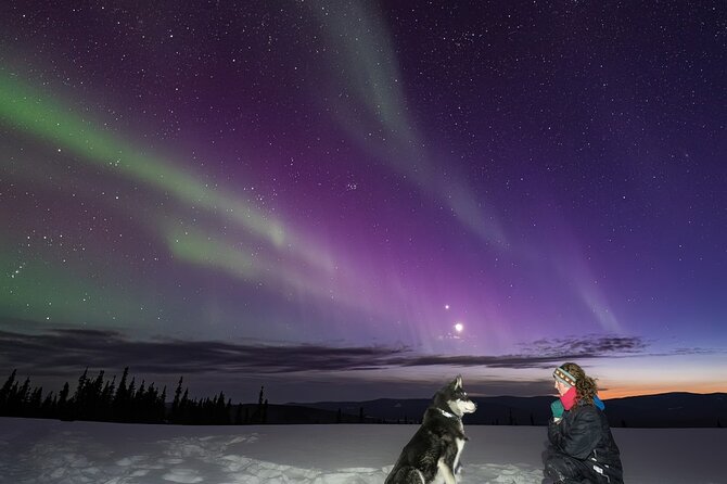 Aurora Activity at Sluice Box Sled Dogs - Waiting inside an Arctic Oven Tent