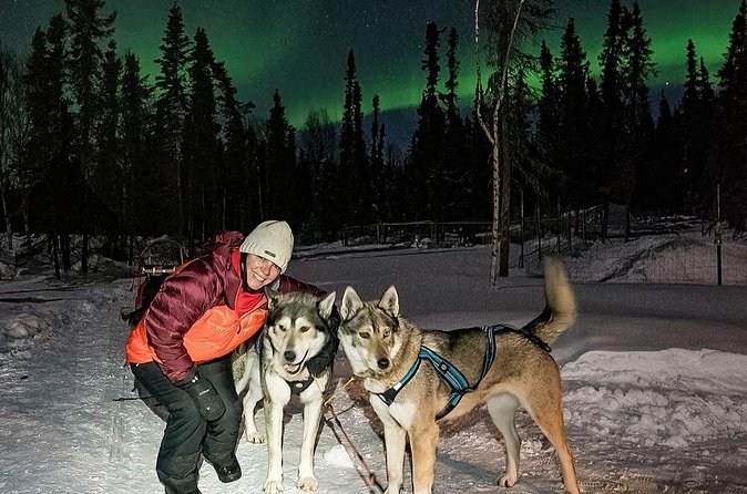 Aurora Activity at Sluice Box Sled Dogs - Photography help and included portraits