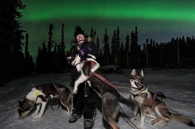 Aurora Activity at Sluice Box Sled Dogs - When the clouds call for an aurora chase