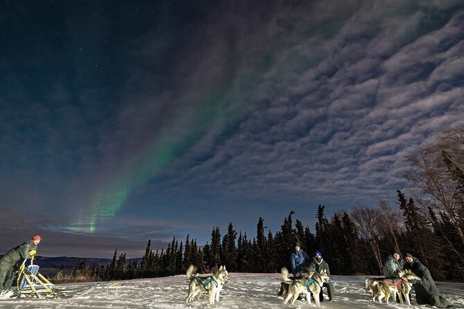 Aurora Activity at Sluice Box Sled Dogs - Learning how the aurora actually works