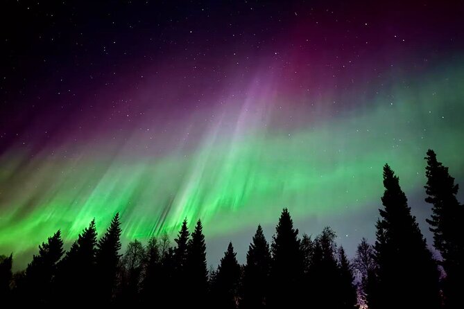 Aurora BBQ in the Private Place in Rovaniemi - Key things to know before booking