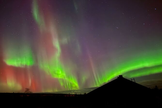 Aurora BBQ in the Private Place in Rovaniemi - A short ride from Rovaniemi to Arctic quiet