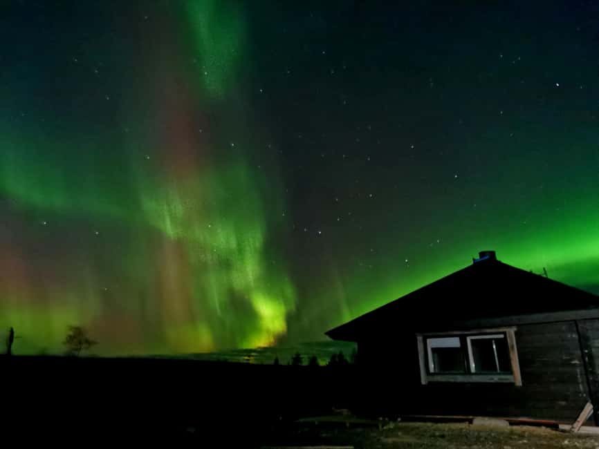 Aurora BBQ in the Private Place in Rovaniemi - Timing, pickup, and practical planning