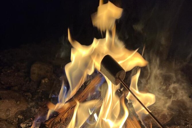 Aurora BBQ in the Private Place in Rovaniemi - A private Kota with fire at the center