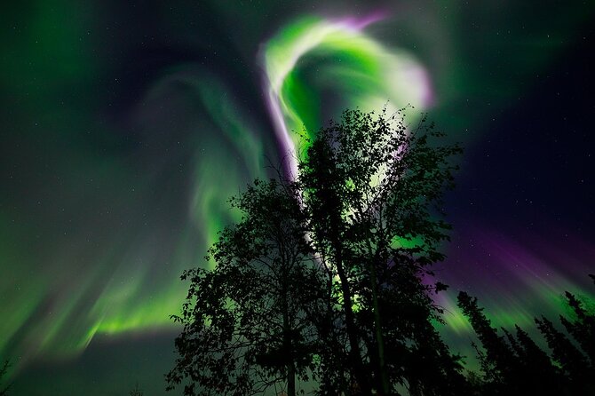 Aurora Borealis Experience Night Edition - Riding in a grey SUV or white minivan