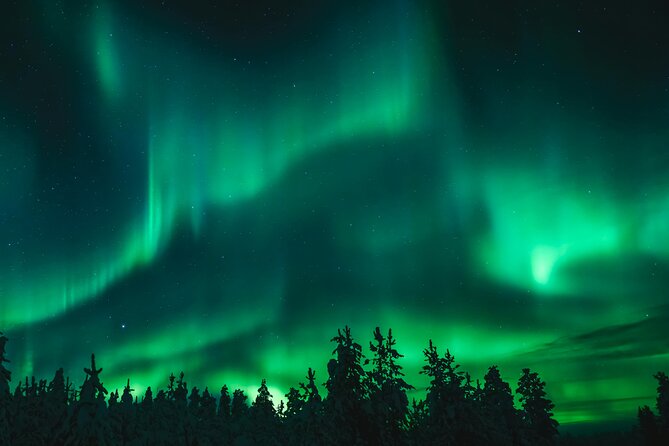 Aurora Borealis Experience Night Edition - The guide can shape the whole evening