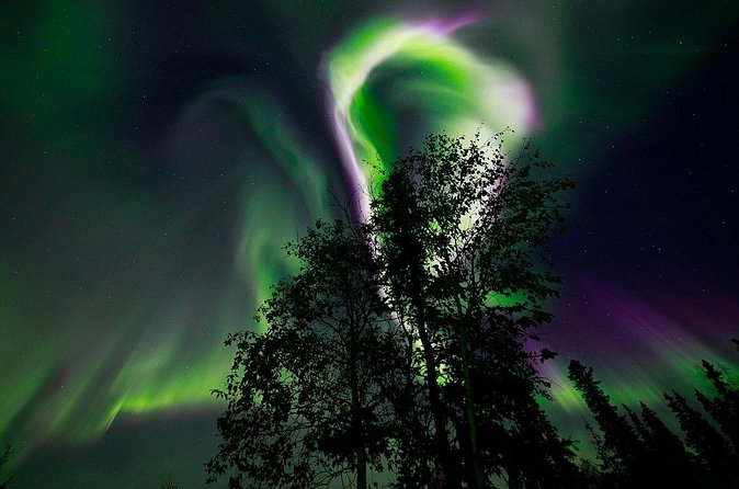 Aurora Borealis Experience Night Edition - Is $173.13 a fair price?