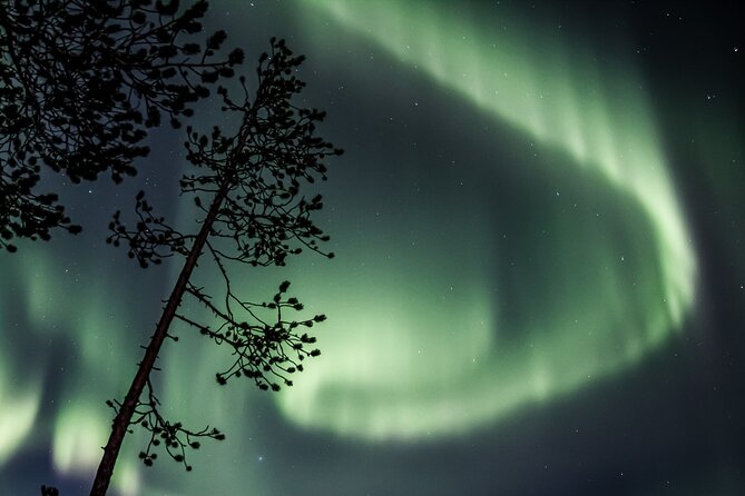 Aurora Borealis Picnic in Rovaniemi - Who will enjoy this most?