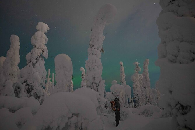 Aurora Borealis Snowshoeing Adventure by Night from Rovaniemi - Key points to know before you book