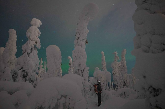 Aurora Borealis Snowshoeing Adventure by Night from Rovaniemi - What is included for $150.60?