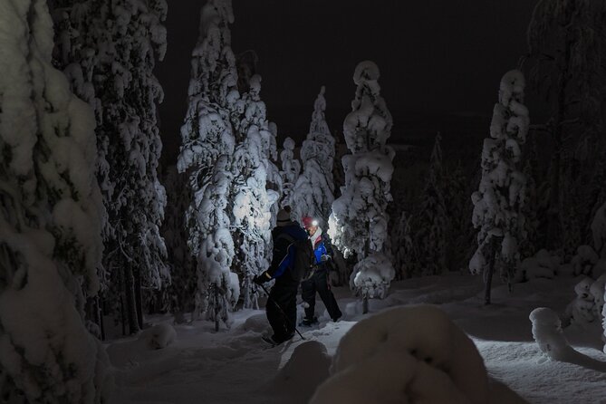 Aurora Borealis Snowshoeing Adventure by Night from Rovaniemi - Getting used to snowshoes in the Lapland forest