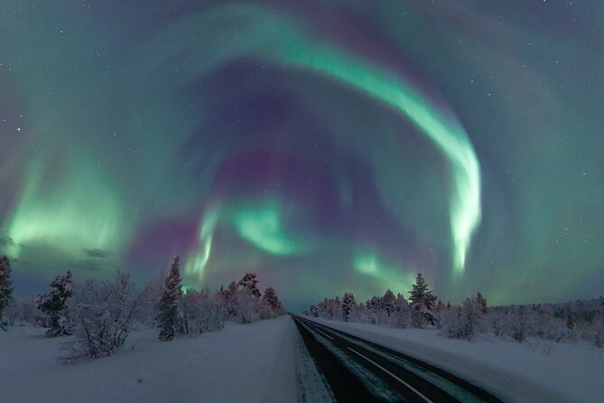 Aurora Borealis Tour in Kiruna - Lapland with Stejk Street Food - Five things to know before you book