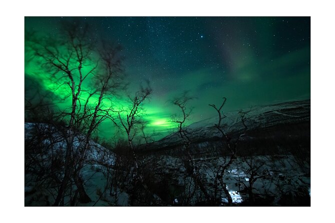Aurora Borealis Tour in Kiruna - Lapland with Stejk Street Food - A Kiruna evening built around the northern lights