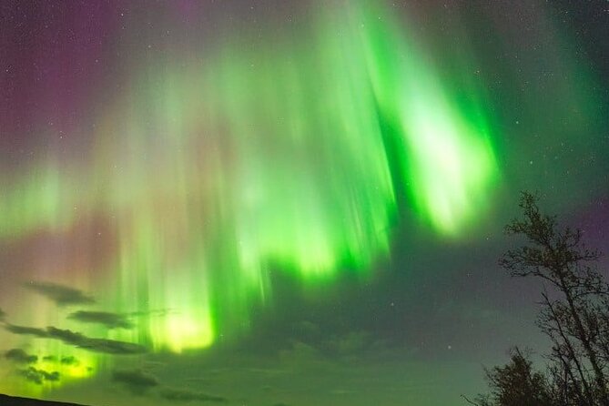 Aurora Car Chasing Tour with Photographer - A guide who adds more than directions