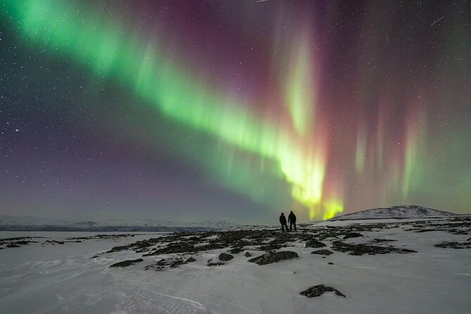 Aurora Car Chasing Tour with Photographer - The disappointment risk is real
