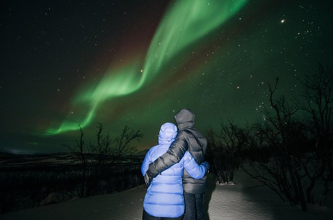 Aurora Car Chasing Tour with Photographer - Who should book this experience