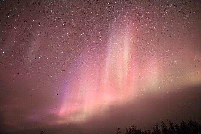 Aurora Chasing + Aurora Lodge - Why this Yellowknife tour takes a different approach
