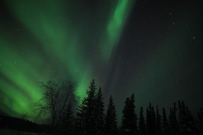 Aurora Chasing + Aurora Lodge - Is $102.42 a sensible price?