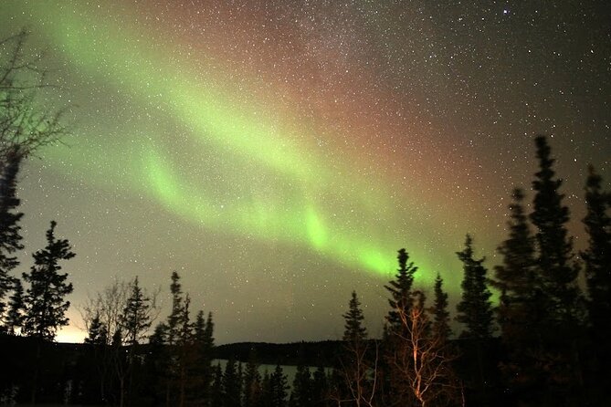 Aurora Chasing + Aurora Lodge - Who will enjoy this most