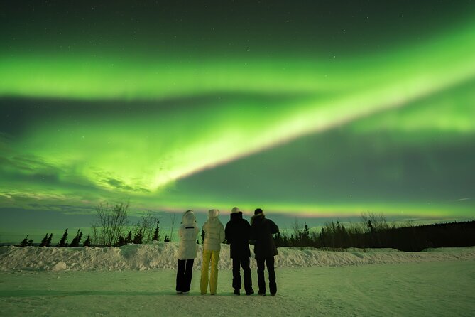 Aurora Chasing Tour With Free Photography Service - Who Will Get The Most From This Tour?
