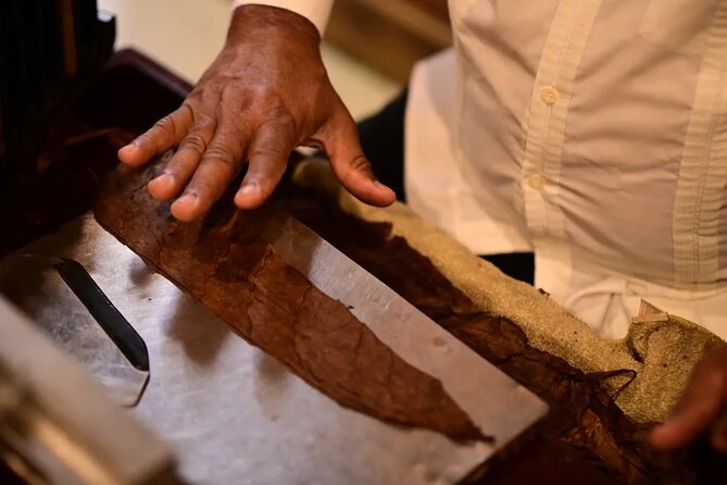 Aurora Cigar & Rum Sensory Tasting and Pairing in Punta Cana - Sugarcane, molasses, and the Solera method