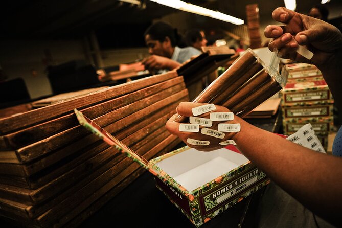 Aurora Cigar & Rum Sensory Tasting and Pairing in Punta Cana - Who should book this experience?