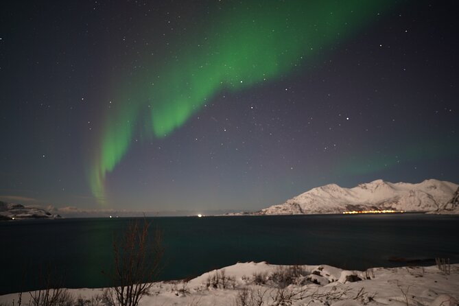 AURORA DAİLY Northern Lights Safari Tour 8 Guests with PİCKUP - Key points before you book