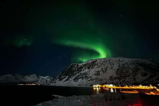 AURORA DAİLY Northern Lights Safari Tour 8 Guests with PİCKUP - Is $290.10 a fair price?