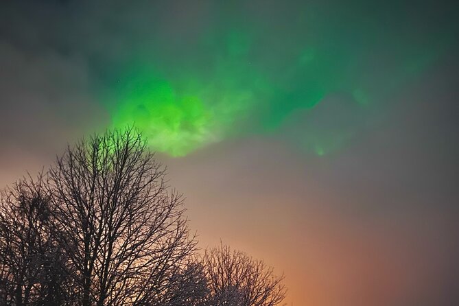 Aurora Hunt with BBQ in Rovaniemi - Waiting beside the fire