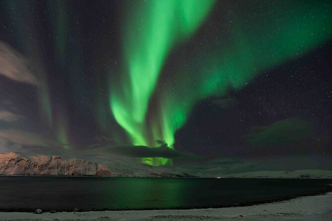 Aurora Hunt with Professional Photographer from Alta - Starting at Løkkeveien 51 in Alta
