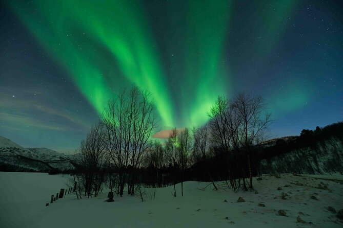 Aurora Hunt with Professional Photographer from Alta - What the guides add to the night