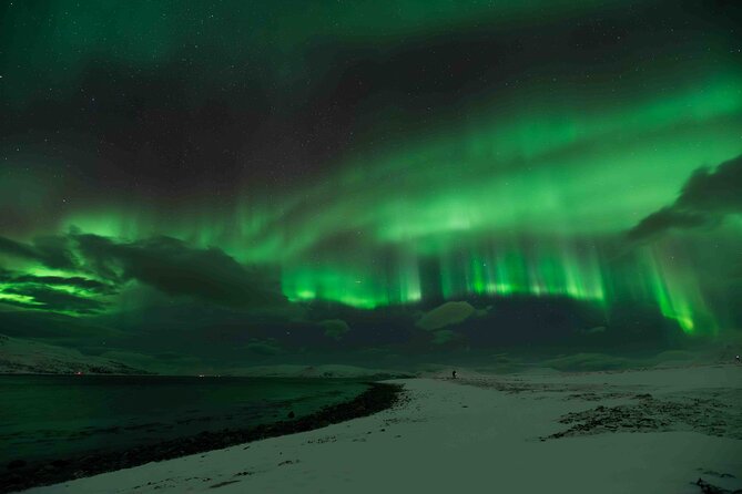 Aurora Hunt with Professional Photographer from Alta - The price and what you receive for $1,145