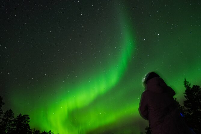 Aurora Hunting by Minivan in Ivalo, Inari or Saariselkä - Why the hosts matter here