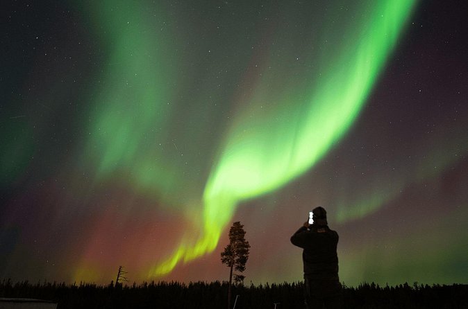 Aurora Hunting by Minivan in Ivalo, Inari or Saariselkä - Is $180.23 good value?