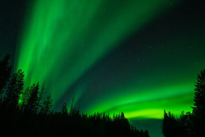 Aurora Hunting by Minivan in Ivalo, Inari or Saariselkä - Who will enjoy this most?