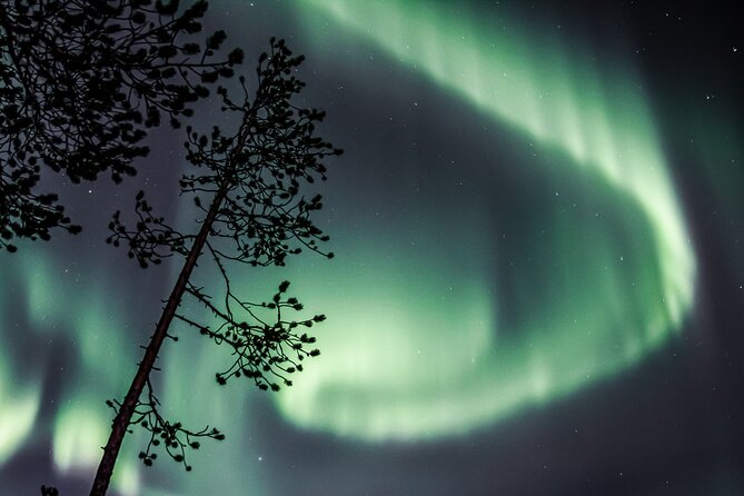 Aurora Hunting Photo Tour from Rovaniemi with Pickup - Chasing clear skies from Rovaniemi