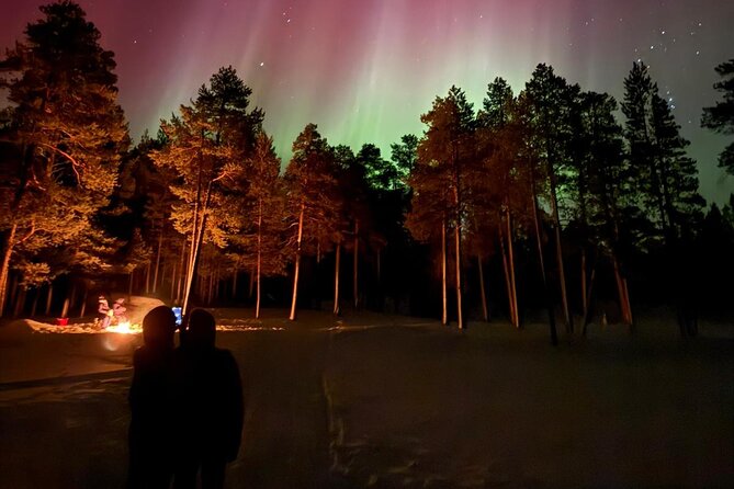 Aurora Hunting Tour from Saariselkä/Inari - Is $163.26 good value?