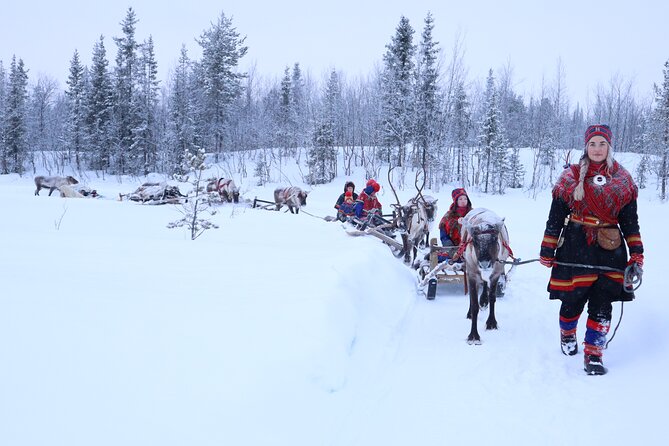 Aurora Hunting with Reindeer Caravan - What the $321 price includes