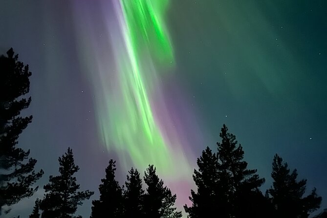 Aurora Hunting with Reindeer Caravan - Riding through the snow in a reindeer caravan