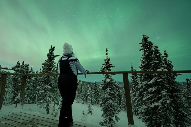 Aurora Oval Nightly Northern Lights Chase - What happens after the 10:30 p.m. pickup