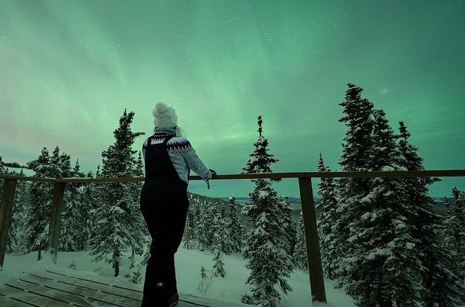 Aurora Oval Nightly Northern Lights Chase - Is $225 a fair price?